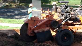 Industrial stump grinder