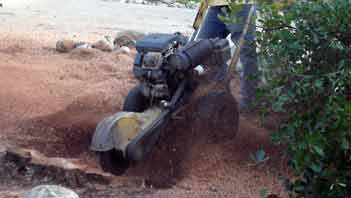 small stump grinder